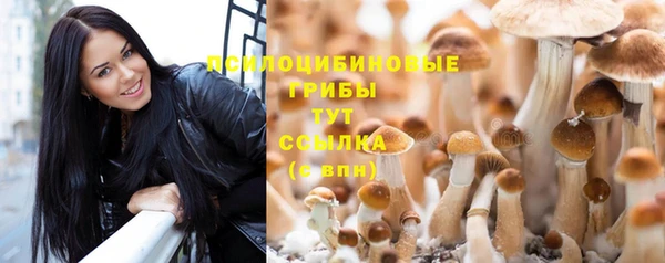 трава Арсеньев