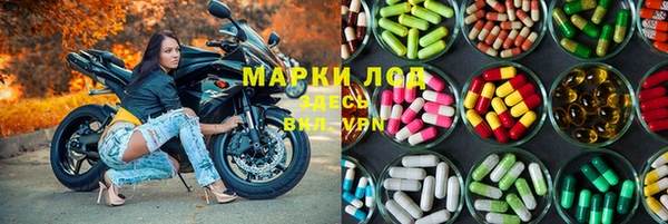 PSILOCYBIN Армянск