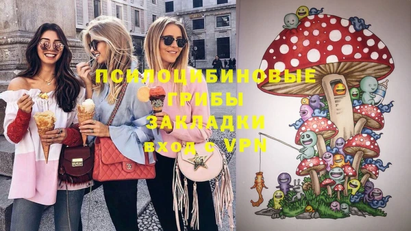 PSILOCYBIN Армянск