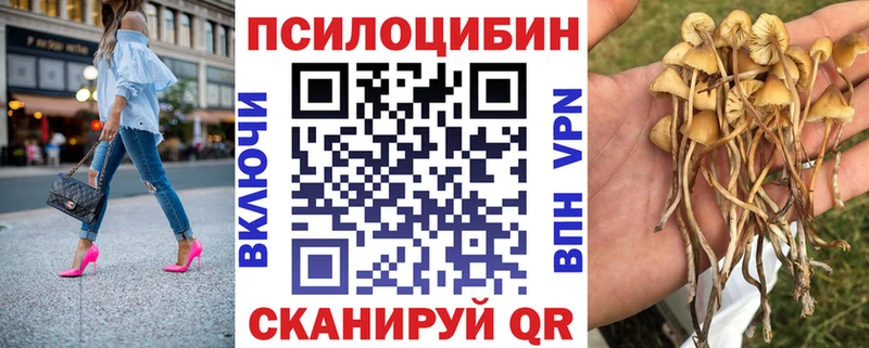купить наркотик  блэк спрут зеркало  Псилоцибиновые грибы Cubensis  Удомля 